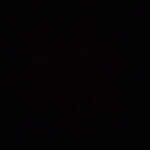 Meet your Posher, Reece